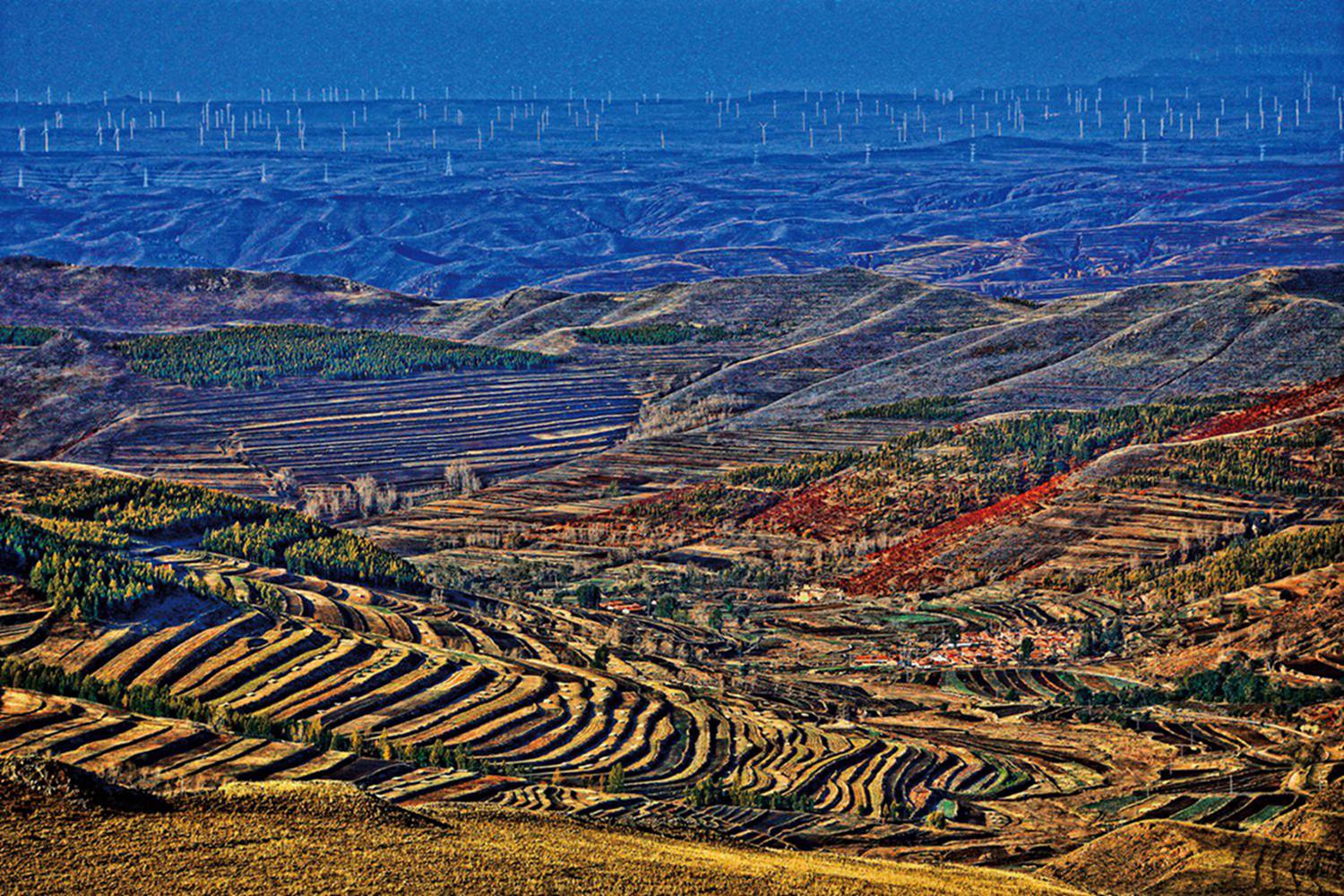 ������ɫ 1.jpg