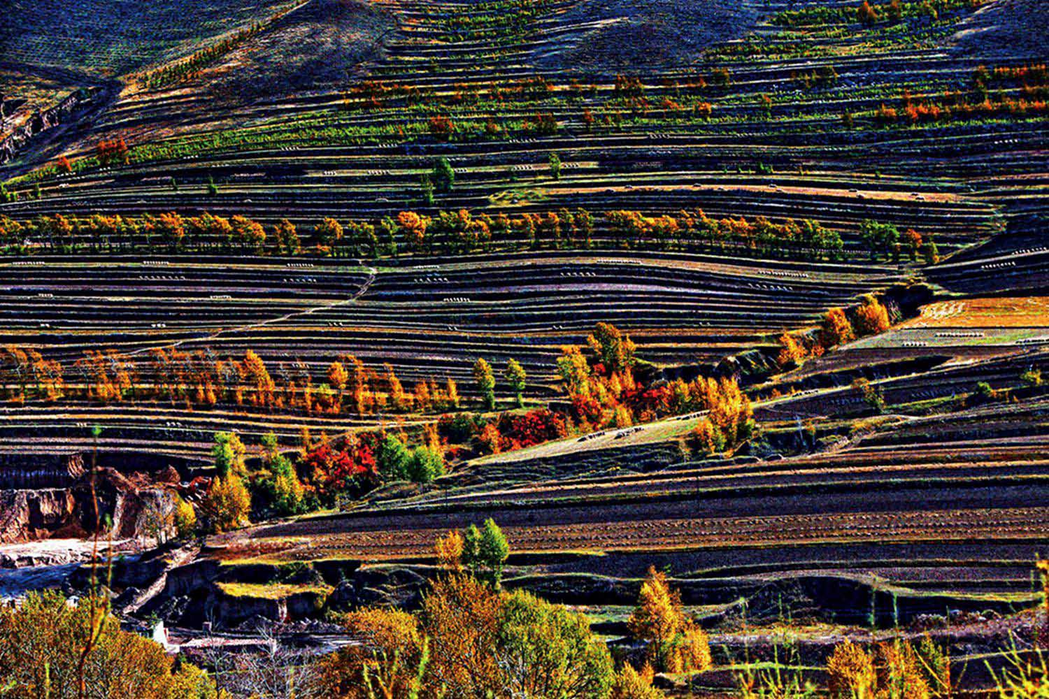 ������ɫ 2.jpg