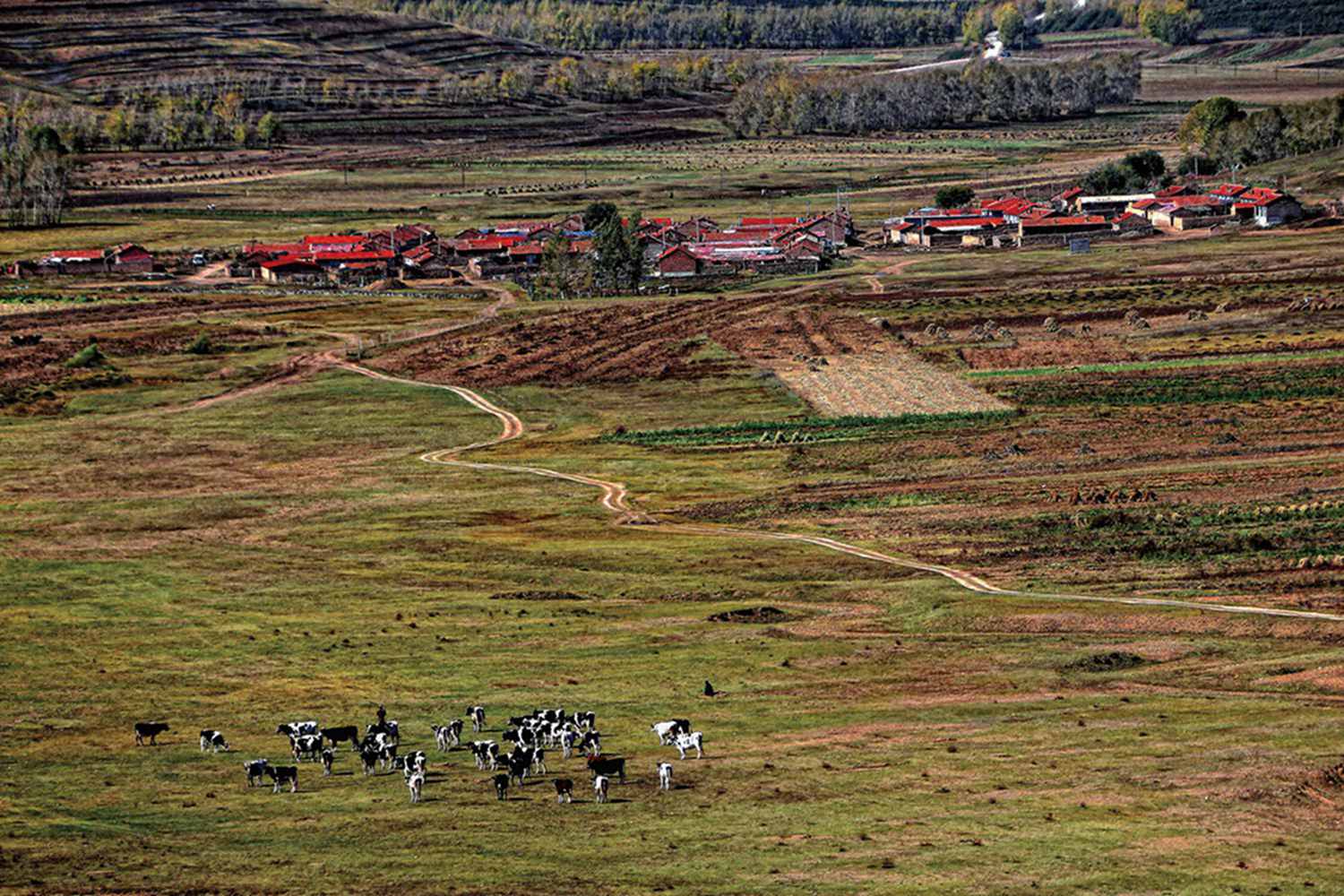 ������ɫ 5 - ����.jpg