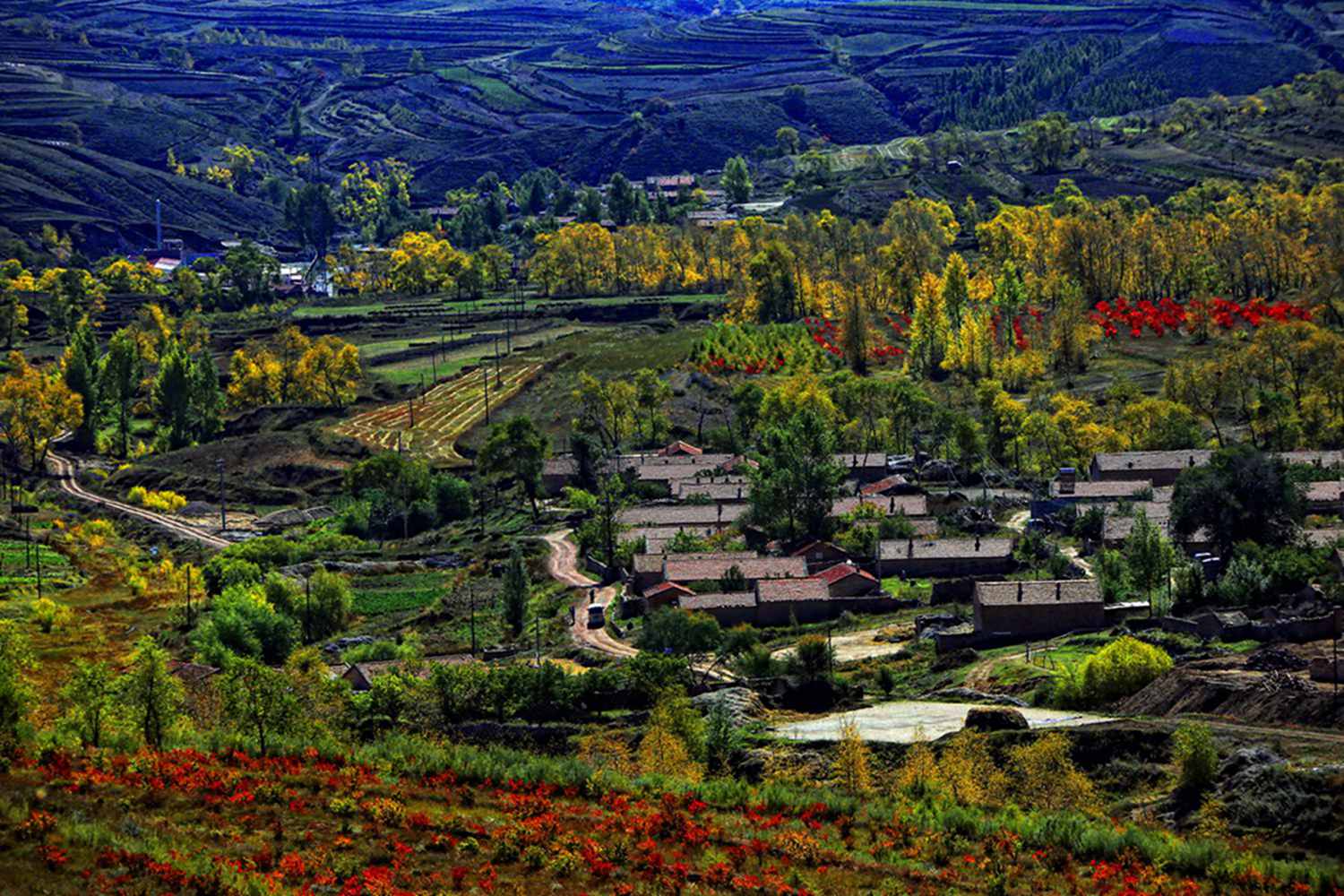 ������ɫ 6 - ����.jpg