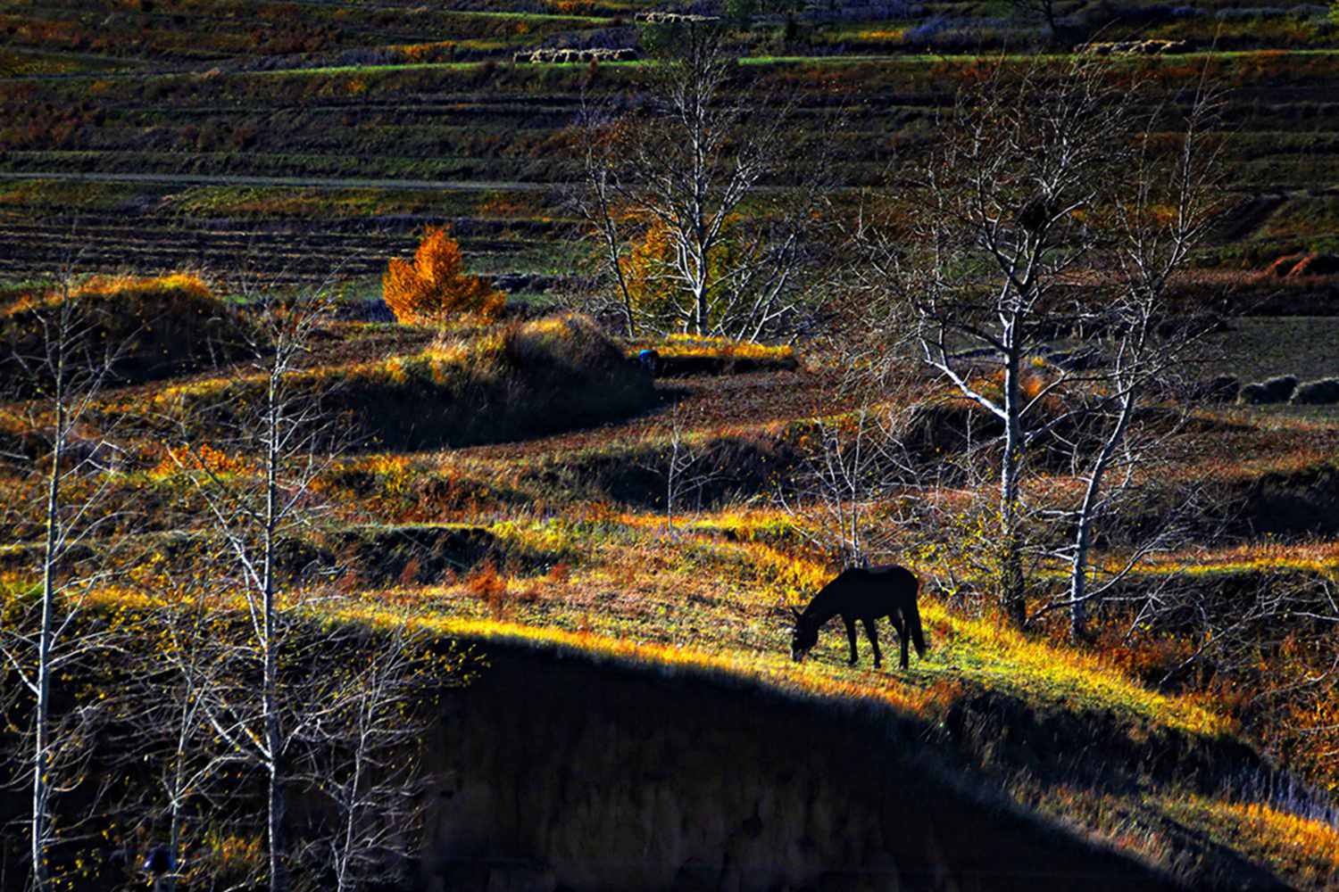 ������ɫ 7 - ����.jpg