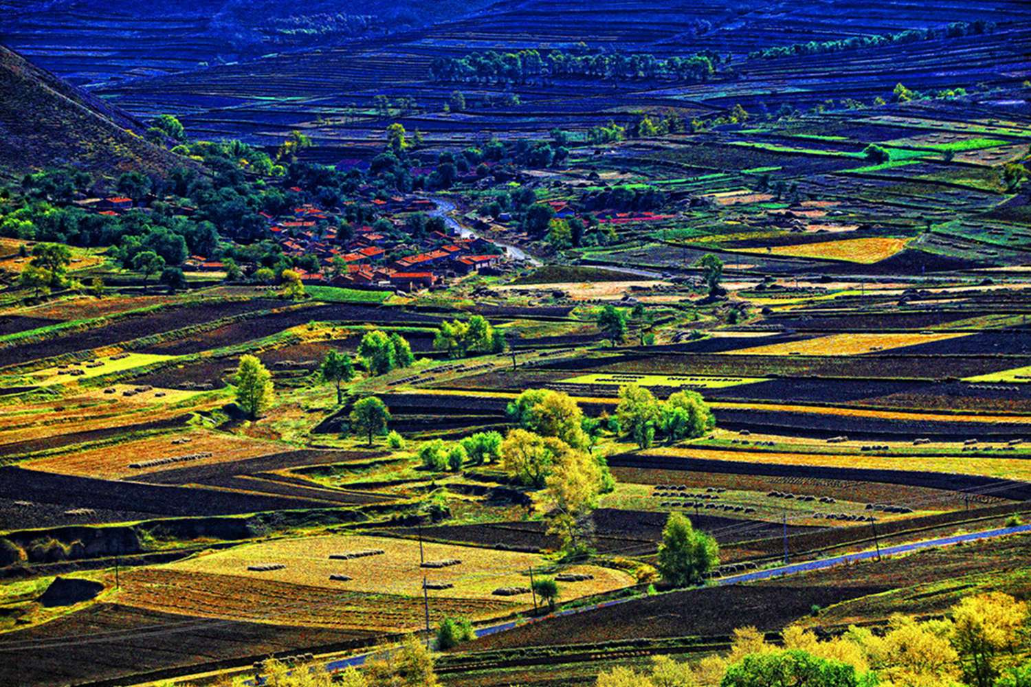 ������ɫ 9.jpg