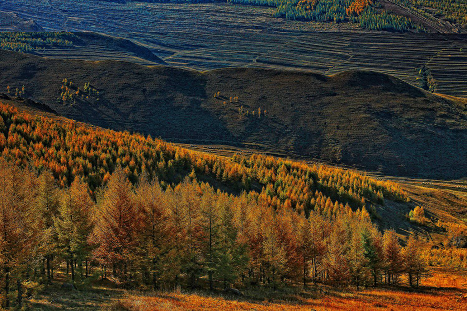 ������ɫ 10.jpg