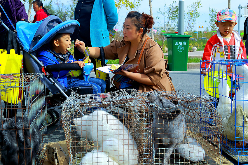 ���ũչ������С����д (3).jpg