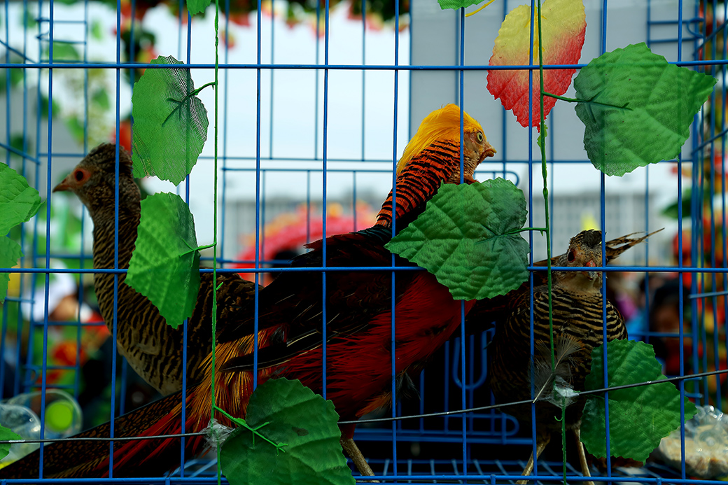 ���ũչ���ģ������̵� (3).JPG