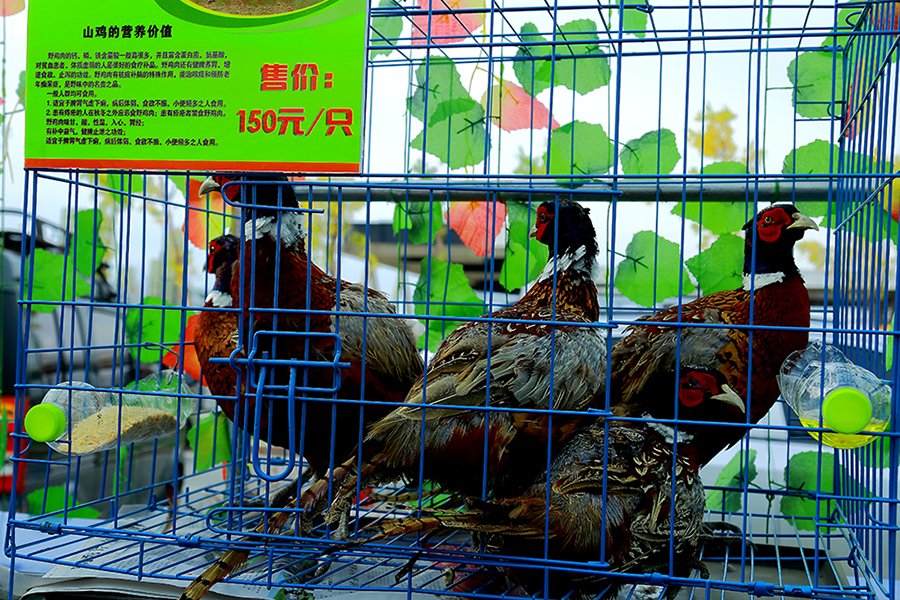 ���ũչ���ģ������̵� (4).jpg