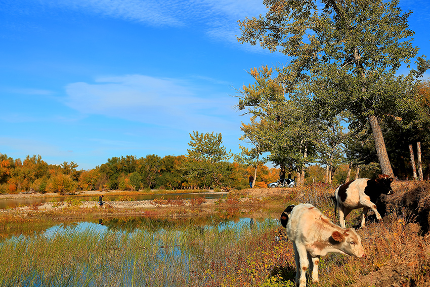 ��ĽŲ� (1).jpg