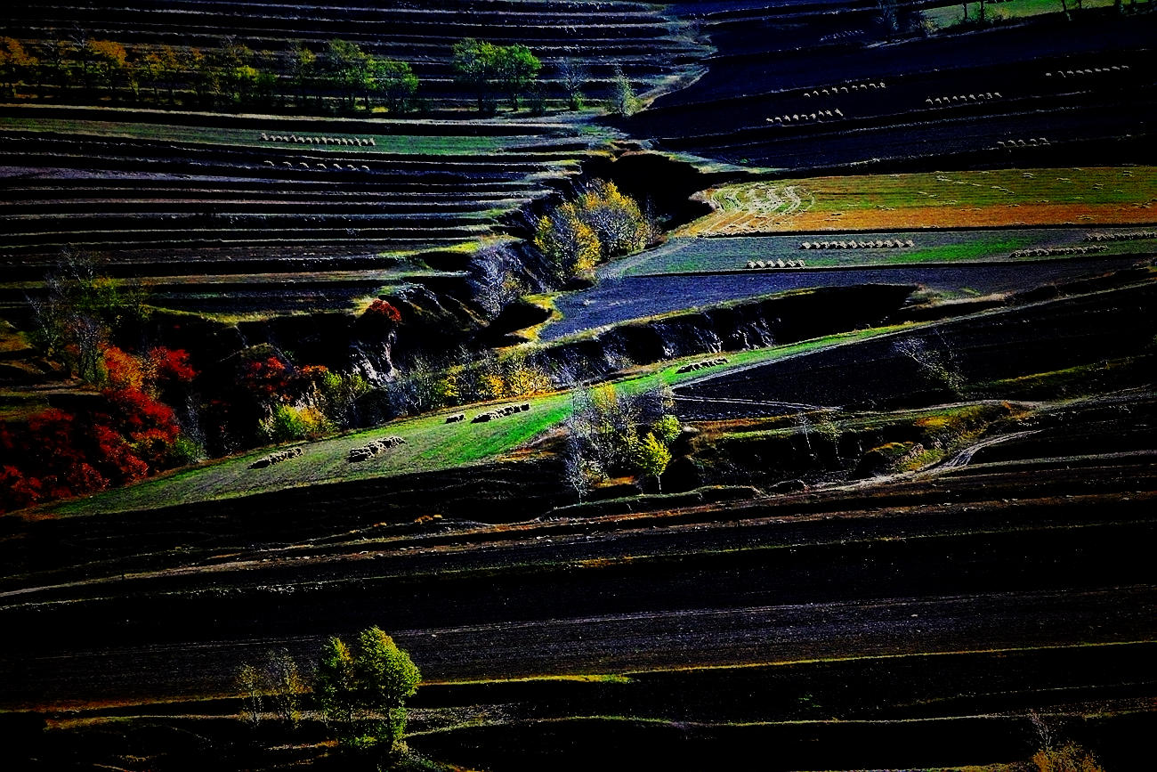 ������ɫ 13 .jpg