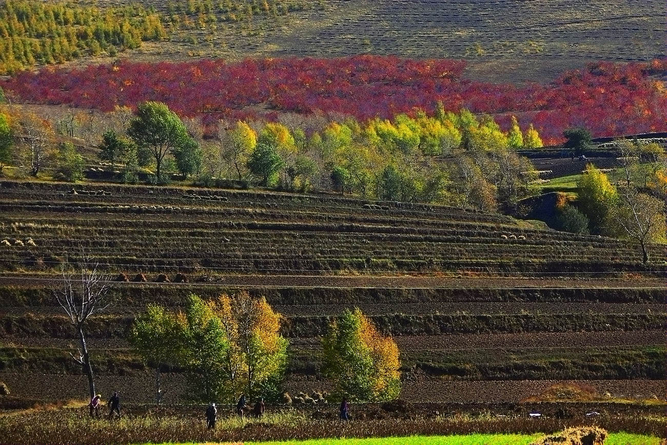 ������ɫ 12 .jpg