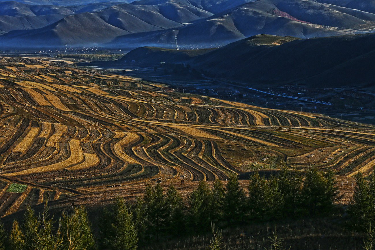 ������ɫ 14 .jpg