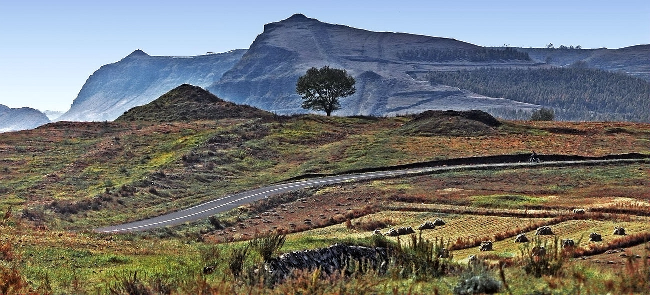 ������ɫ 15.jpg