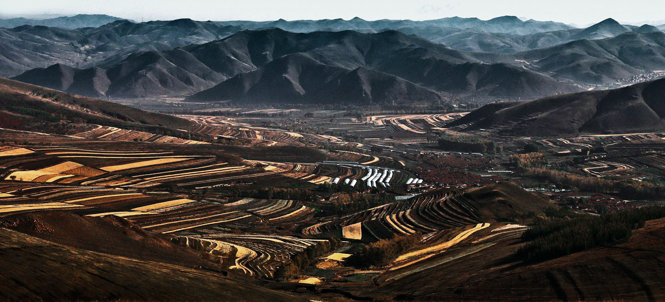 ������ɫ 16 .jpg