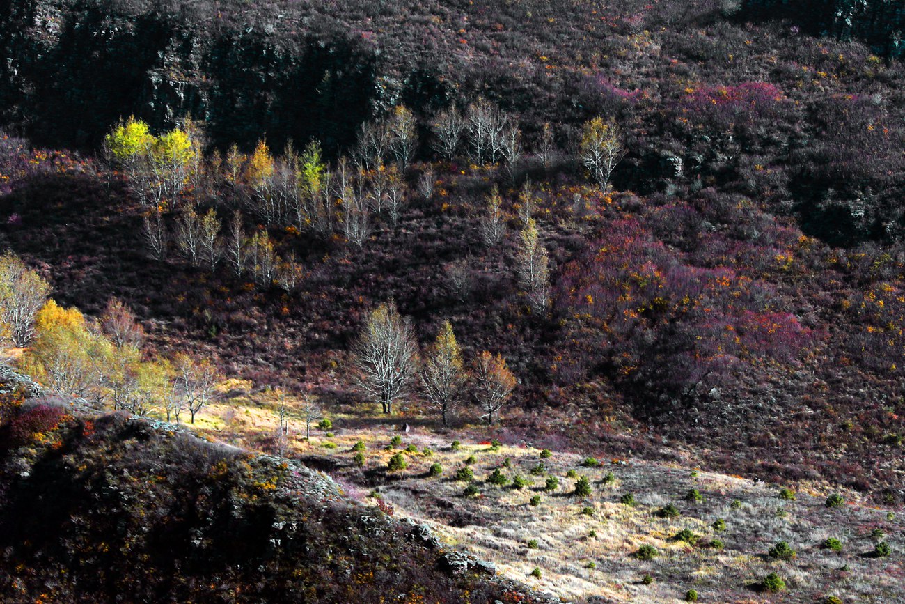 ������ɫ 19 .jpg