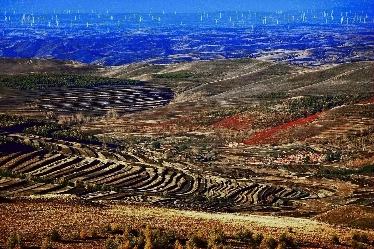 ������ɫ 1.jpg