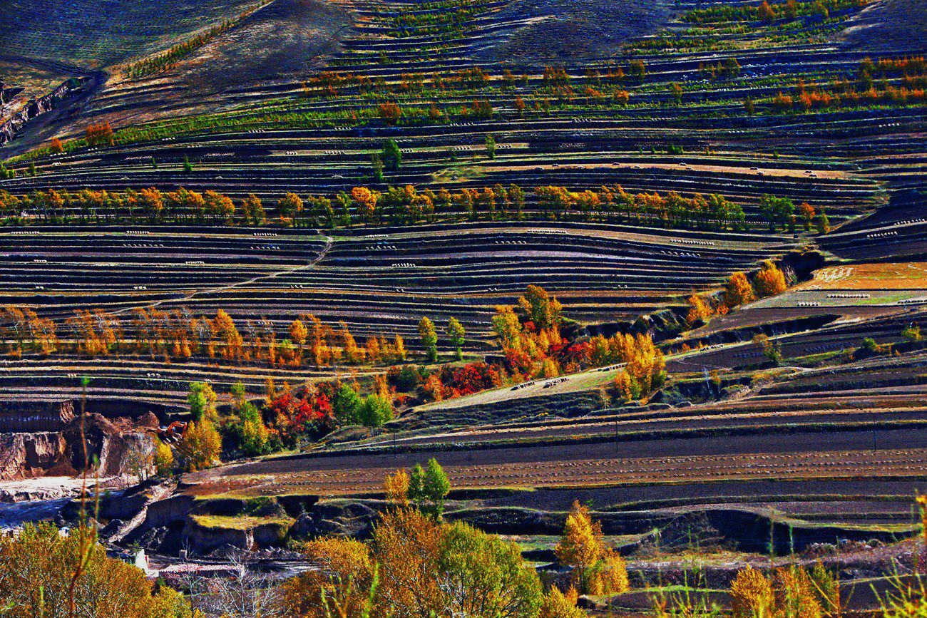 ������ɫ 2.jpg