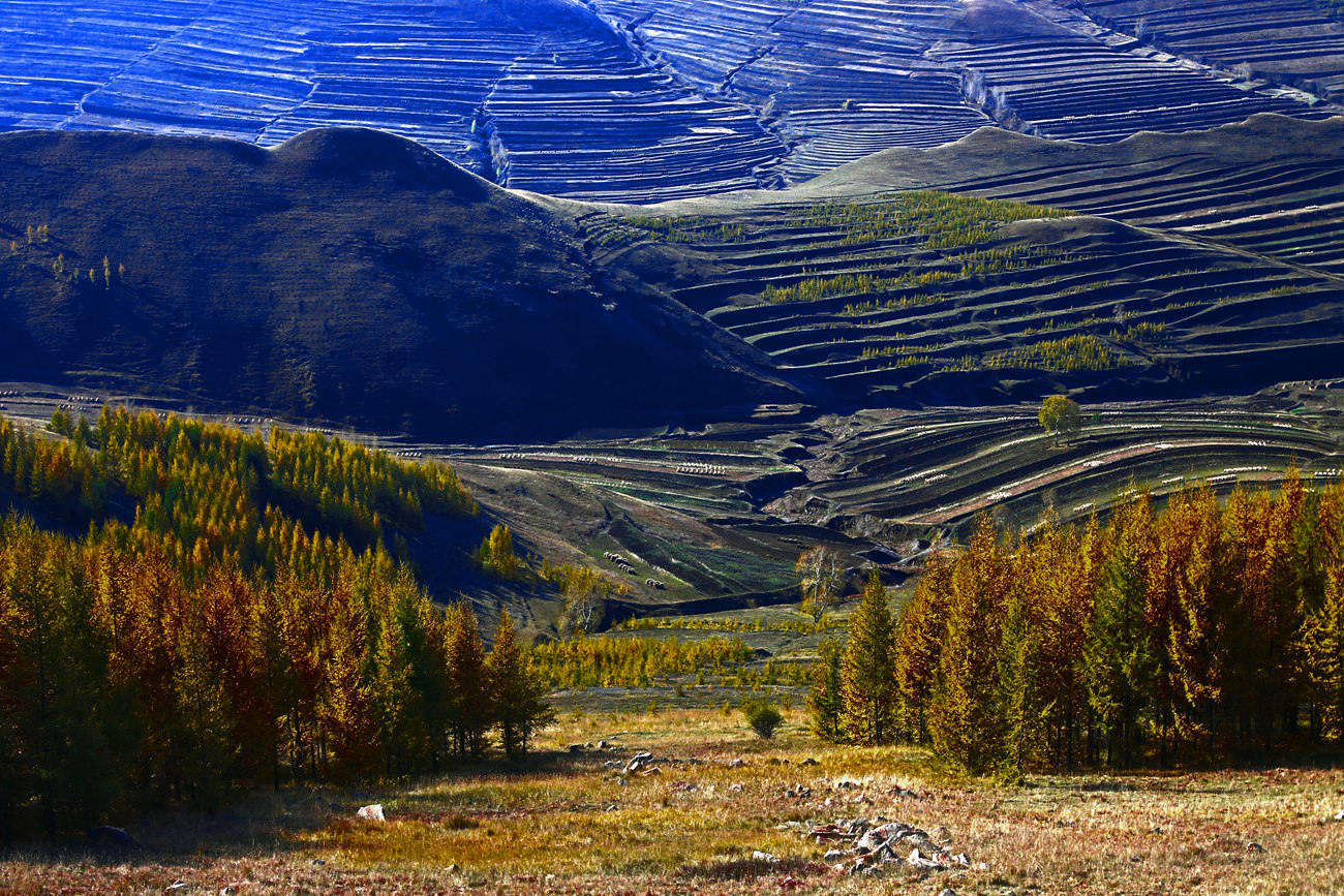 ������ɫ 3.jpg