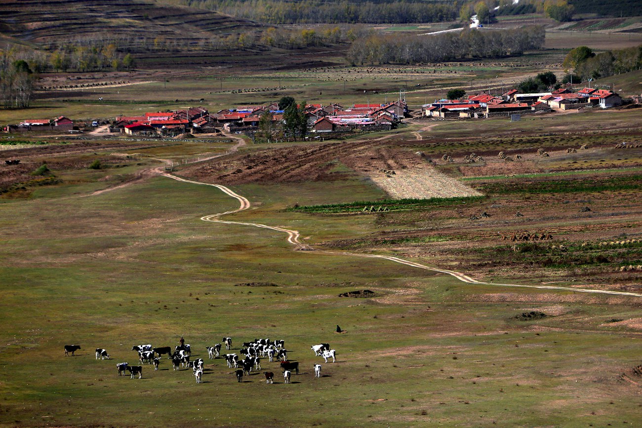 ������ɫ 5.jpg