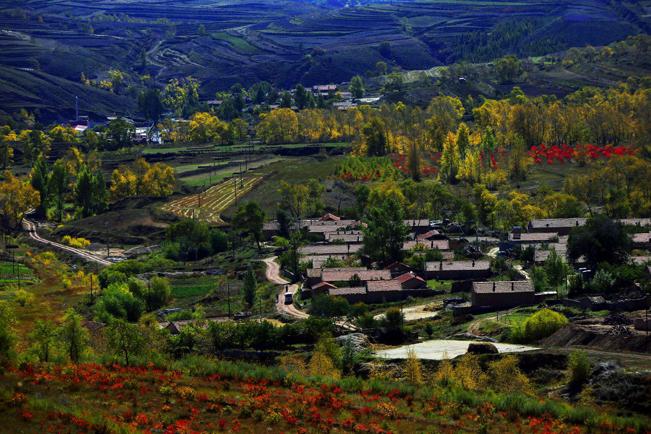 ������ɫ 6.jpg