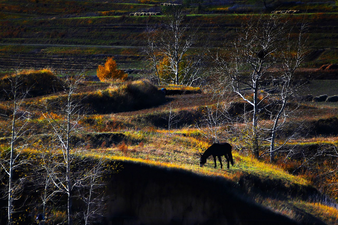 ������ɫ 7.jpg