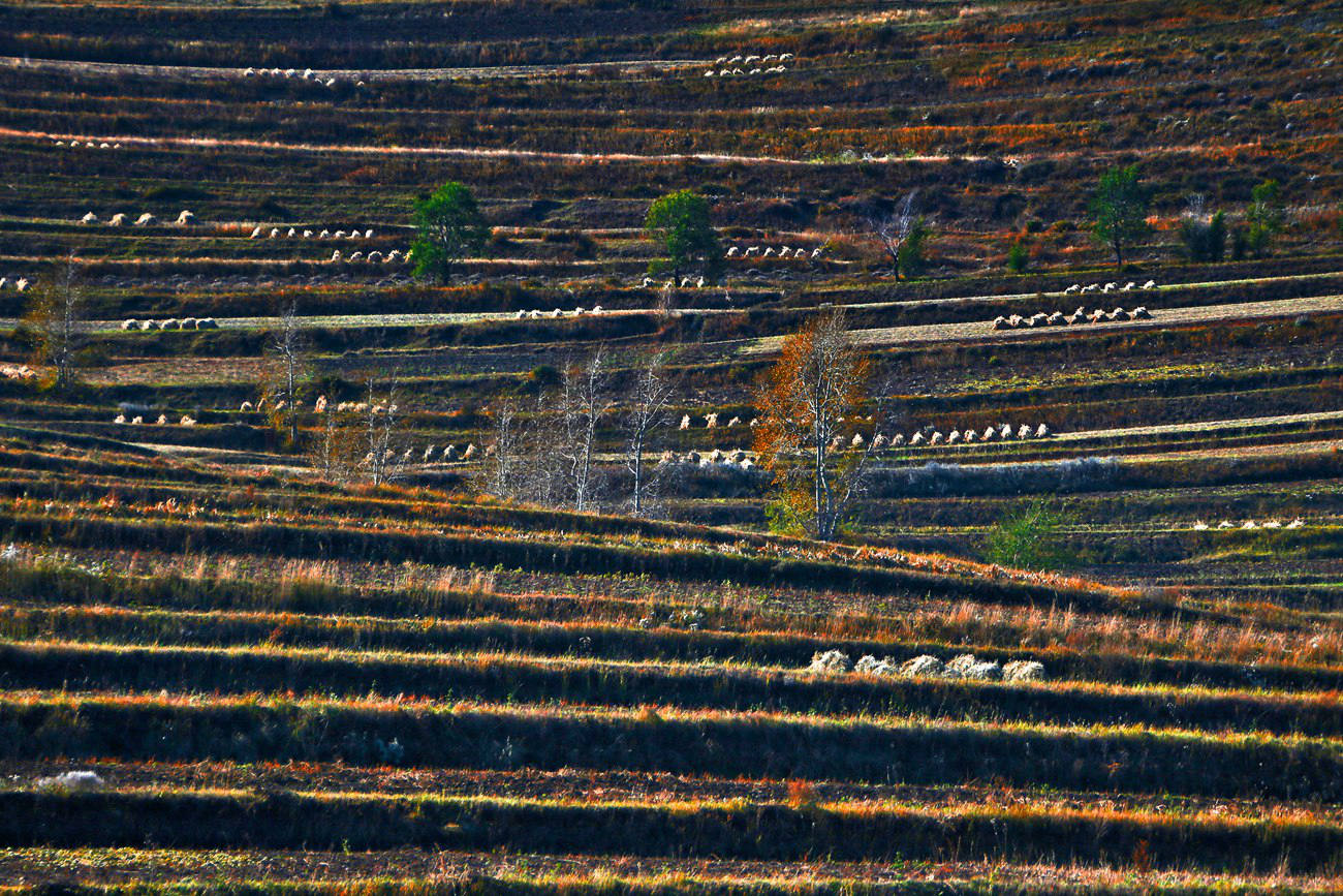 ������ɫ 8.jpg