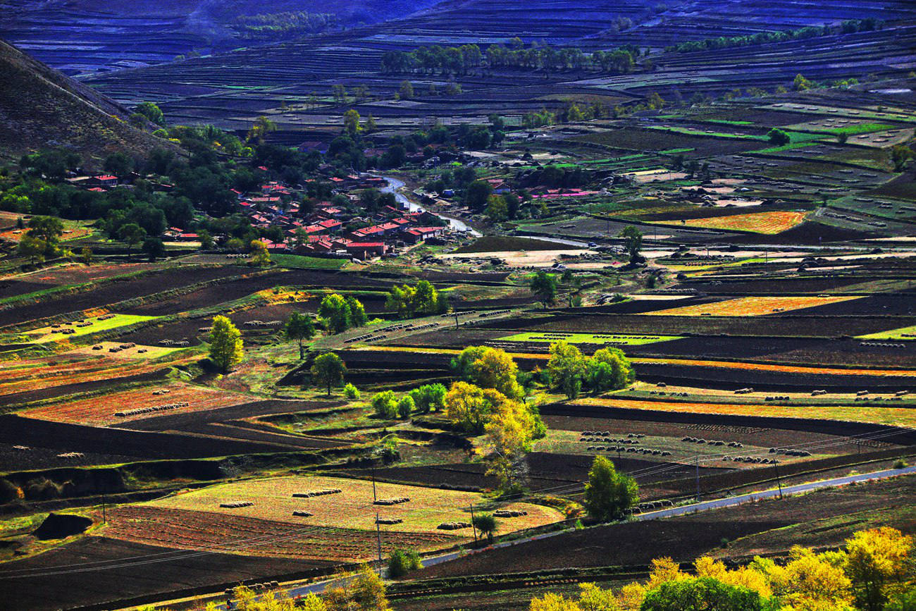 ������ɫ 9.jpg