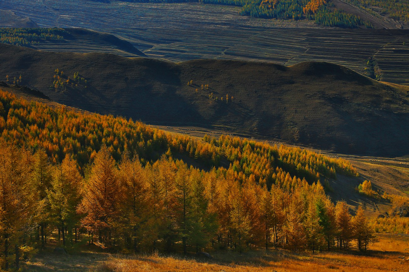 ������ɫ 10.jpg