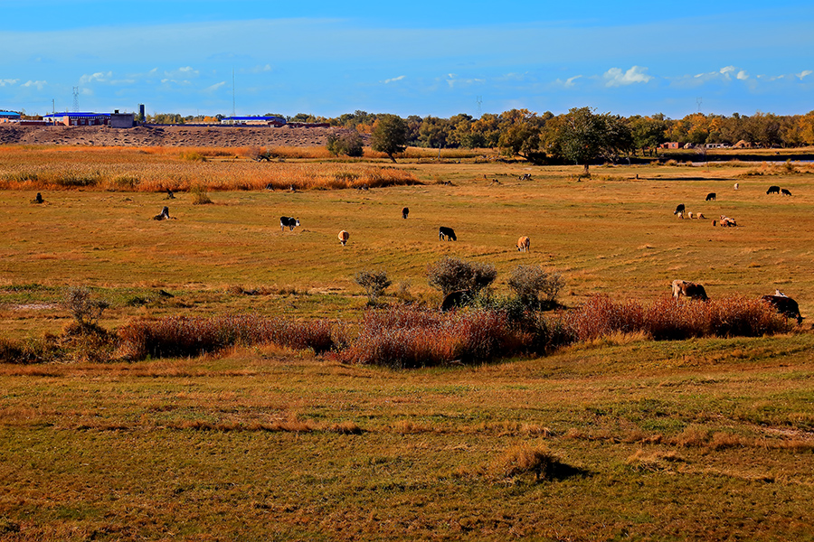 ��ĽŲ������� (1).JPG