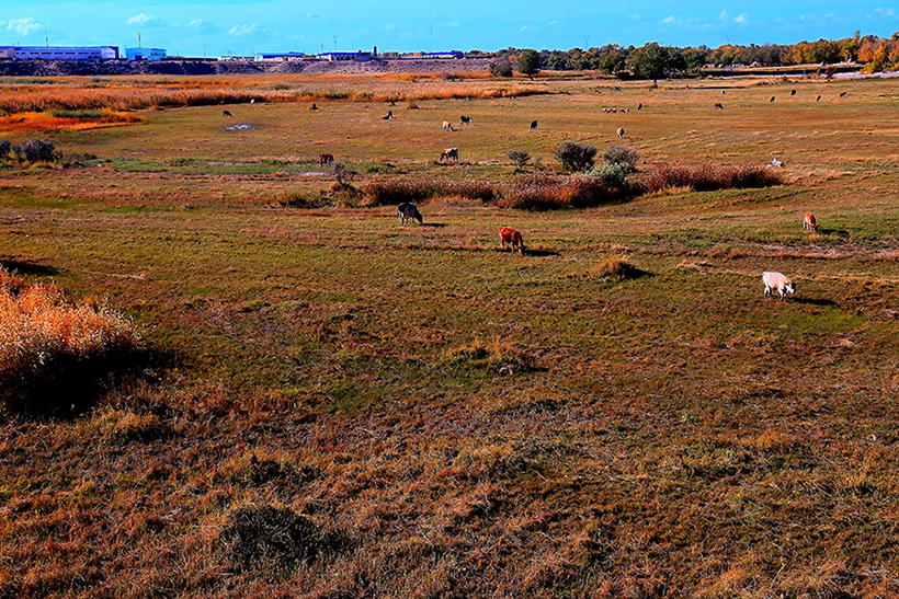 ��ĽŲ������� (2).jpg