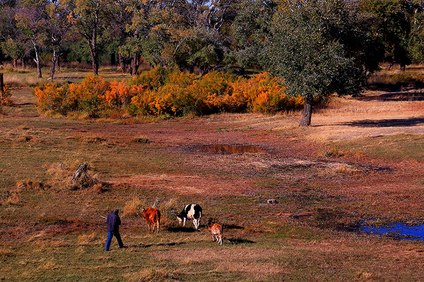 ��ĽŲ������� (3).jpg