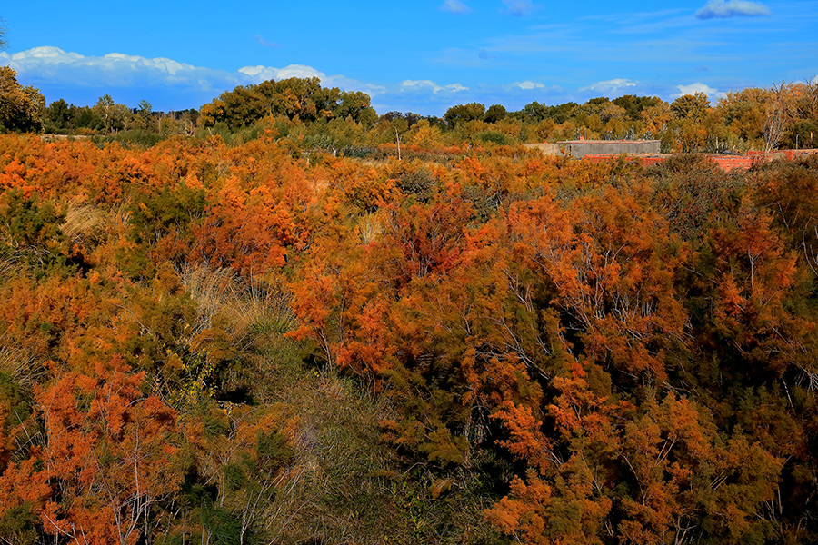 ��ĽŲ������� (4).jpg