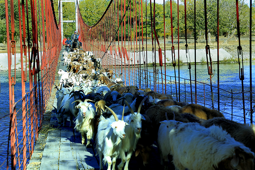 ��ĽŲ������� (2).jpg