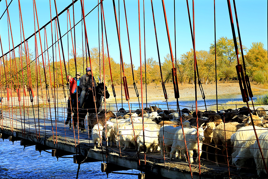 ��ĽŲ������� (3).jpg