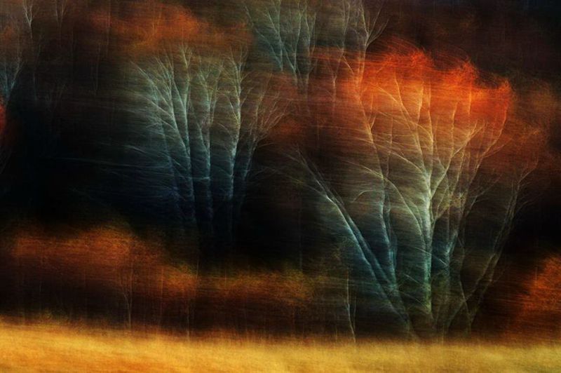 ��ɫ           ��Ӱ������.JPG