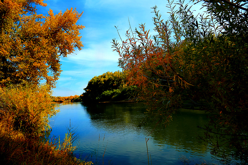 ���ն�ӣ�һ �� (1).jpg