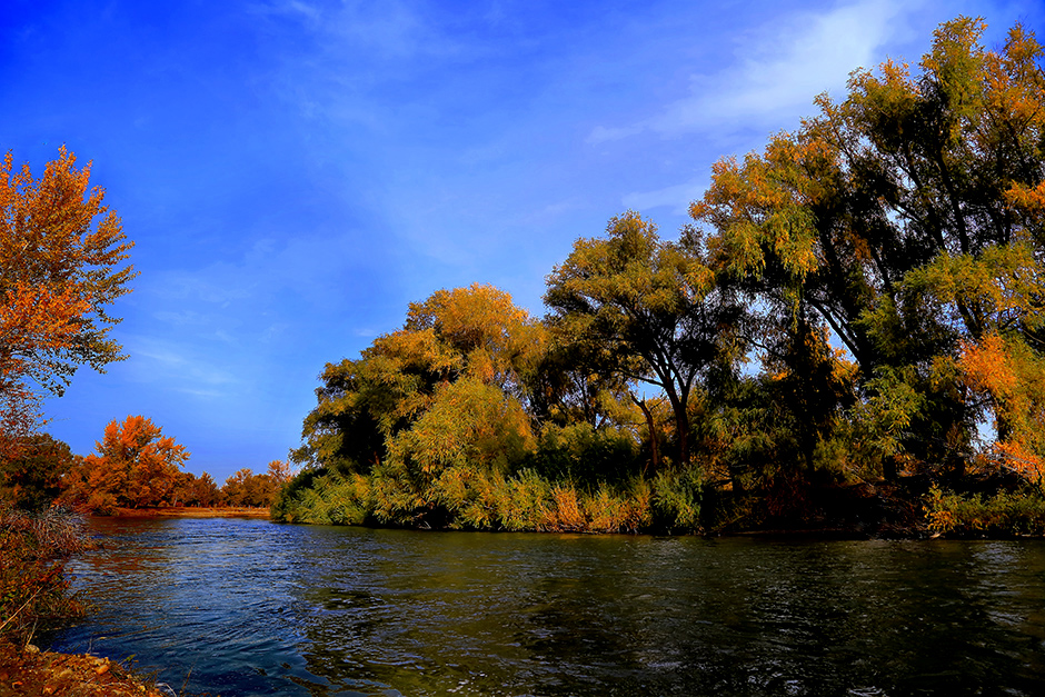 ���ն�ӣ�һ �� (2).jpg