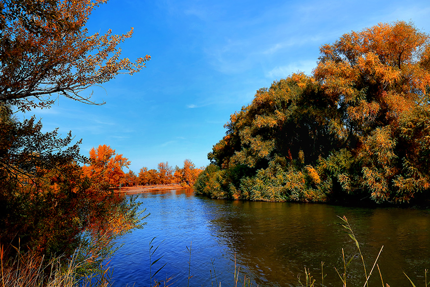 ���ն�ӣ�һ �� (3).jpg