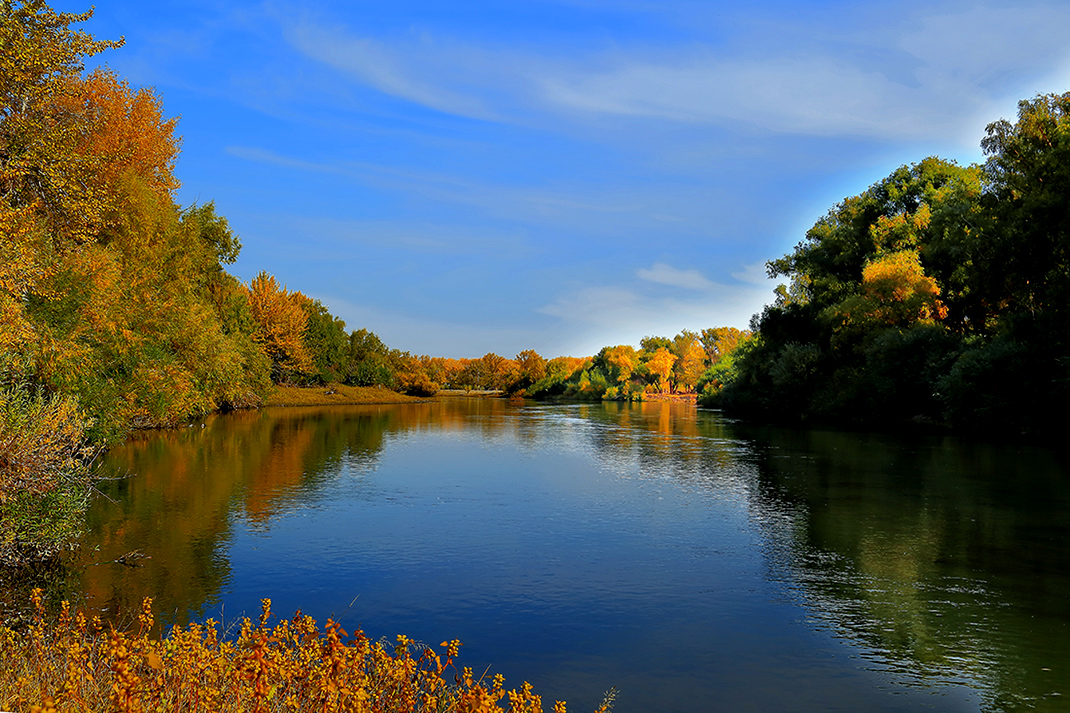 ���ն�ӣ�һ �� (4).jpg