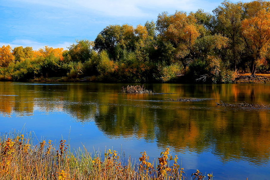 ���ն�ӣ�һ �� (5).jpg