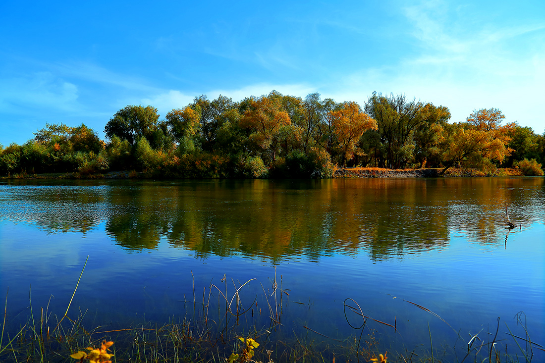 ���ն�ӣ�һ �� (6).jpg