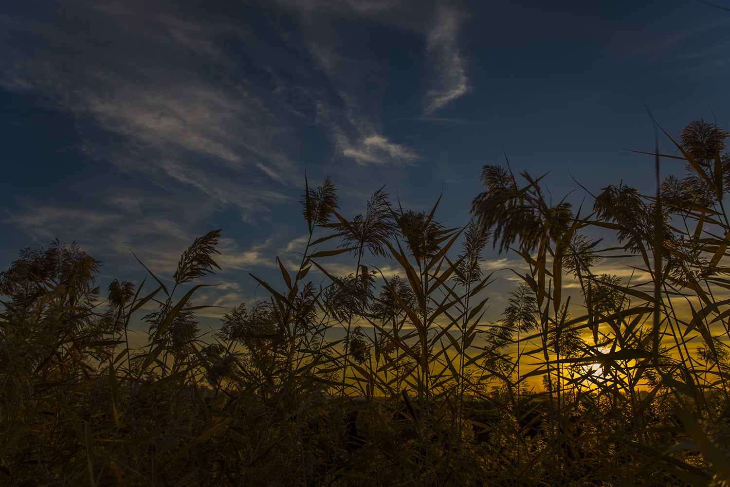 ��ɽ����֮�ﾰ