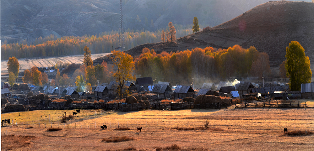 δ����_ȫ��ͼ  2.jpg