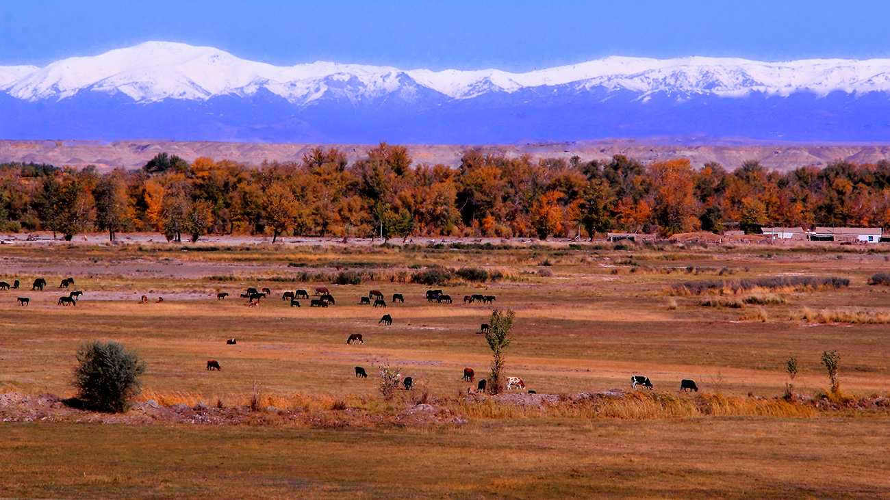 ��ĽŲ����ģ� (1).jpg