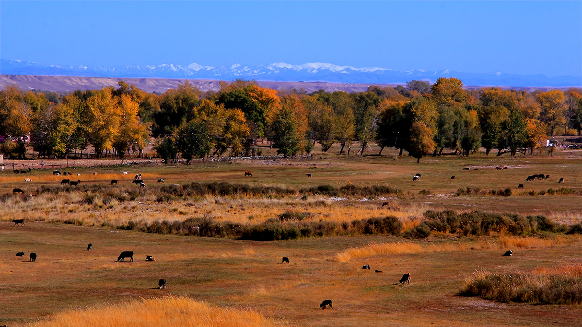 ��ĽŲ����ģ� (3).jpg