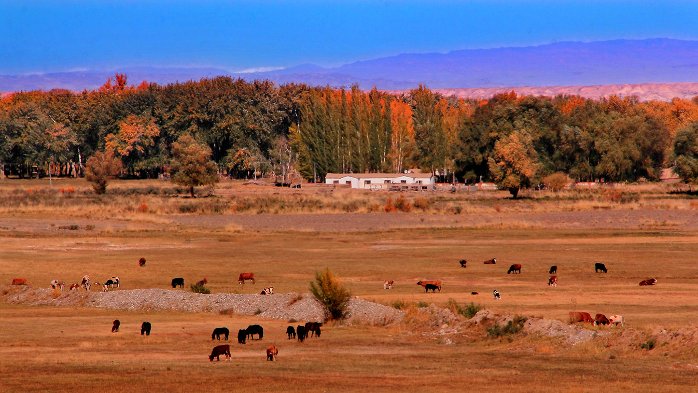 ��ĽŲ����ģ� (4).jpg