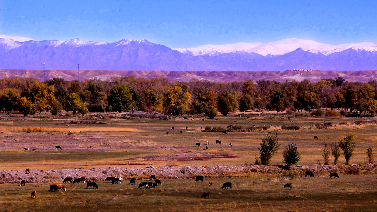 ��ĽŲ����ģ� (2).jpg