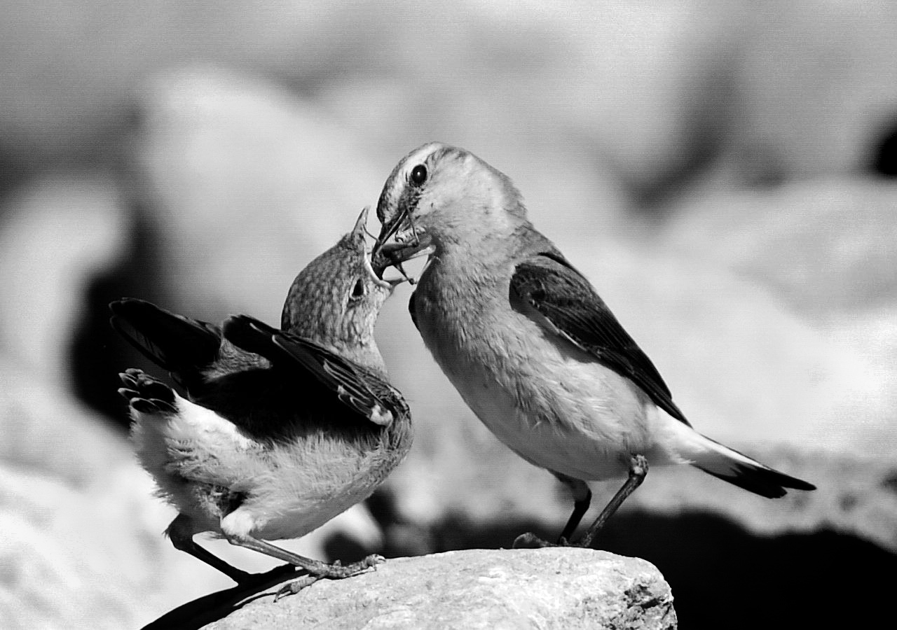 3������ ��Ծ-���飨��ɽ���£�.jpg