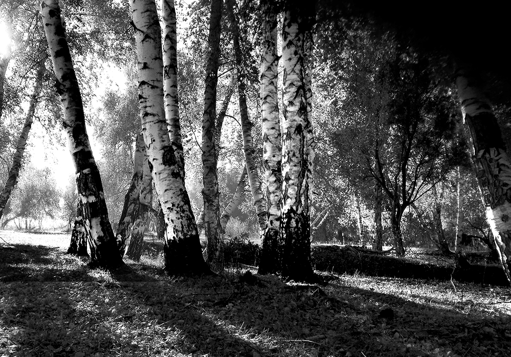 10ѫ������ ����-B4�����⡷.jpg