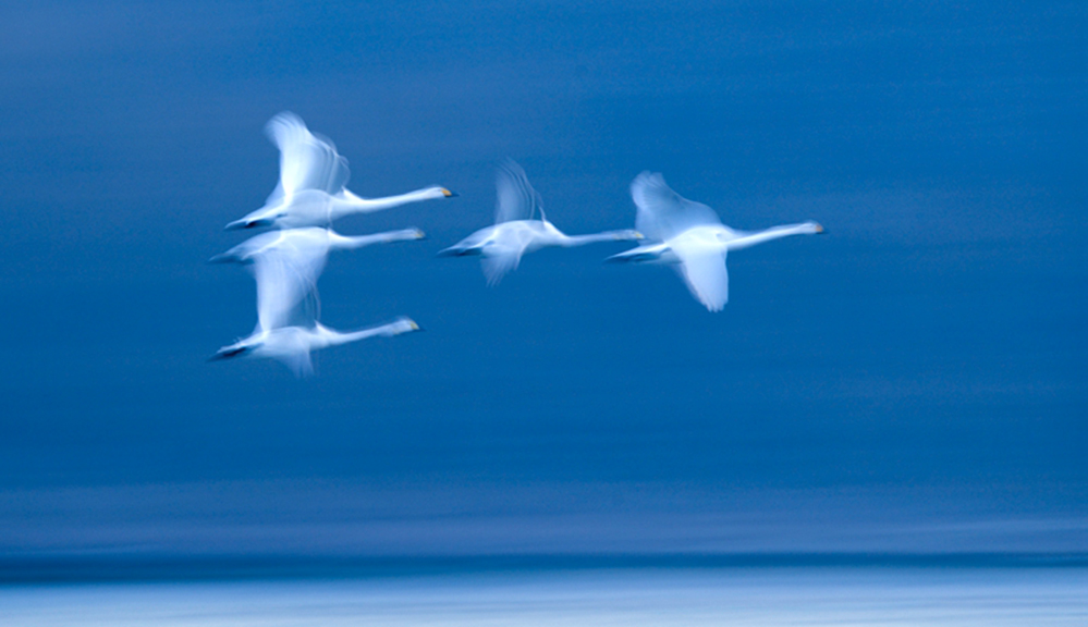 1 �𽱣� �첨�����2��.jpg