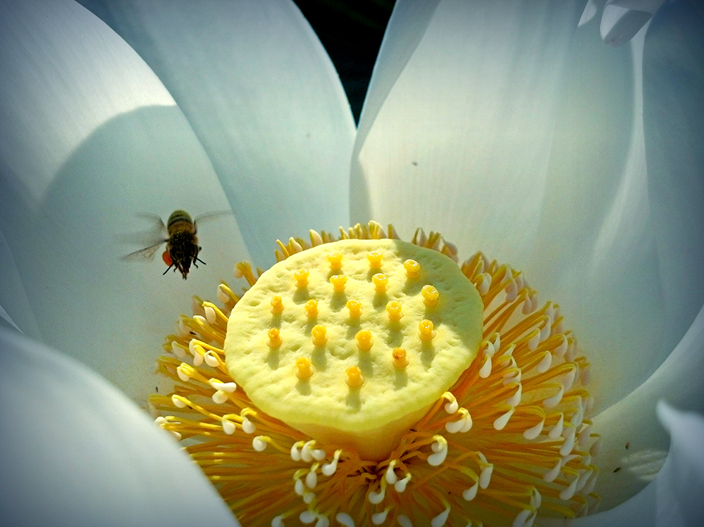 7ѫ������ ������-c1���⣺��.jpg