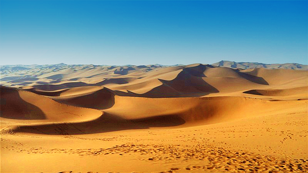 9ѫ������ ��������-��ɳĮ��.png